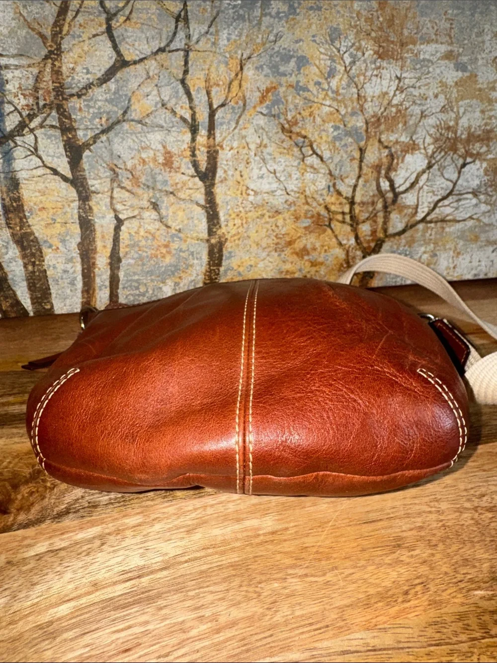 Brown Coach SoHo Swingpack Leather Crossbody Bag with Canvas Strap